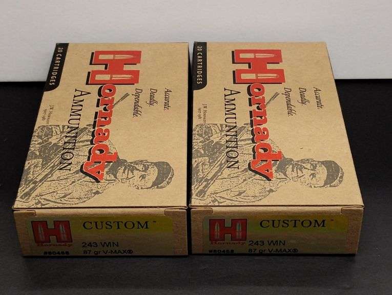 Two 20 Cartridge Boxes Hornady 243 WIN 87 Grain V-MAX image