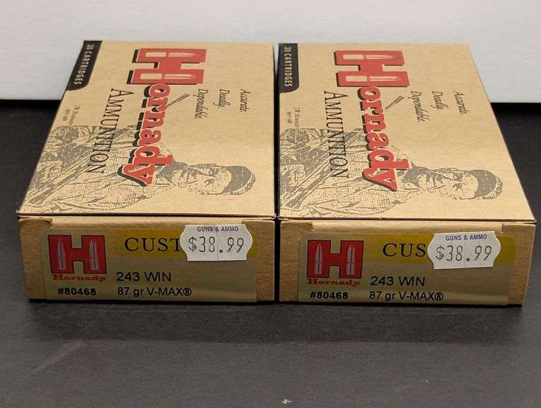 Two 20 Cartridge Boxes Hornady 243 WIN 87 Grain V-MAX image