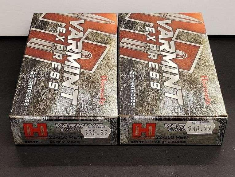 Two 20 Cartridge Boxes Hornady Varmint Express 22-250 REM V-Max 55 Grain image