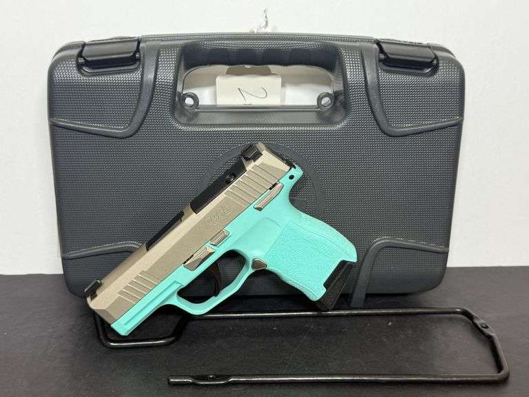 SIG Sauer  .380ACP  P365 380 REB MS  SN:66F555110 image