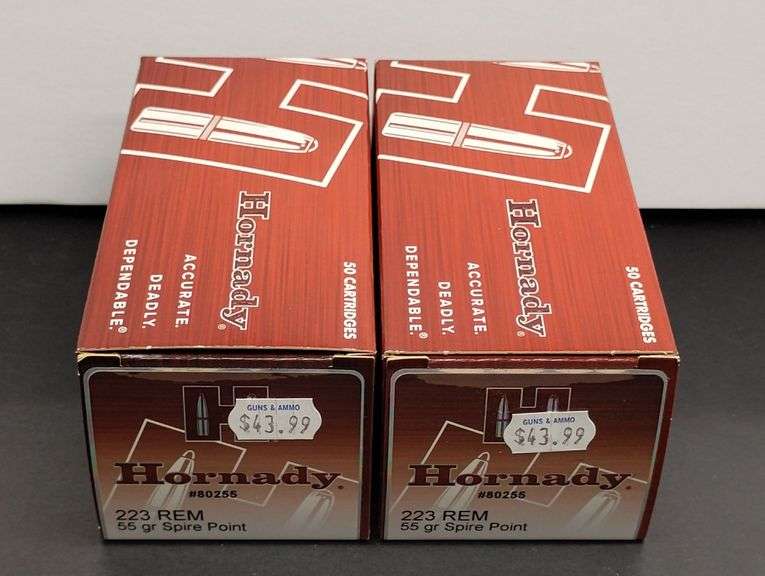 Two 50 Cartridge Boxes Hornady 223 REM Spire Point 55 Grain image