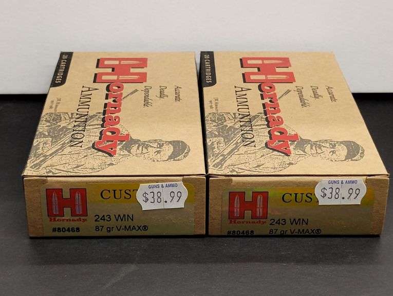 Two 20 Cartridge Boxes Hornady 243 WIN 87 Grain V-MAX image