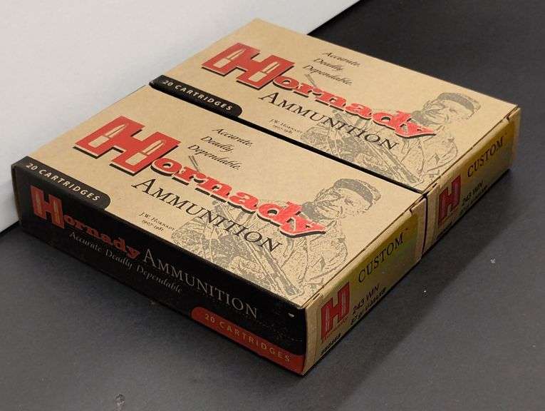 Two 20 Cartridge Boxes Hornady 243 WIN 87 Grain V-MAX image