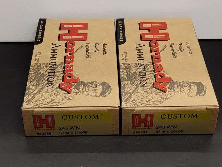 Two 20 Cartridge Boxes Hornady 243 WIN 87 Grain V-MAX image