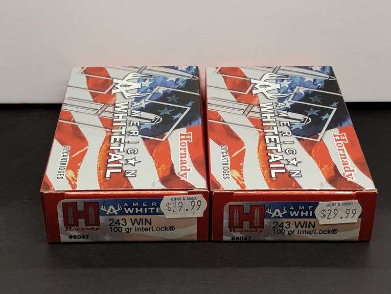 Two 20 Cartridge Boxes Hornady American Whitetail 243 WIN 100 Grain InterLock image