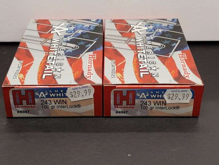Two 20 Cartridge Boxes Hornady American Whitetail 243 WIN 100 Grain InterLock image