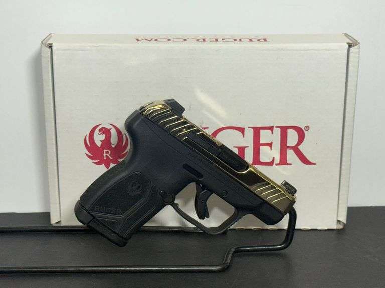Ruger  380  LCPMax  SN:381483018 image