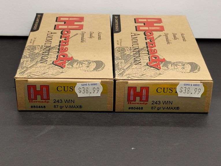Two 20 Cartridge Boxes Hornady 243 WIN 87 Grain V-MAX image