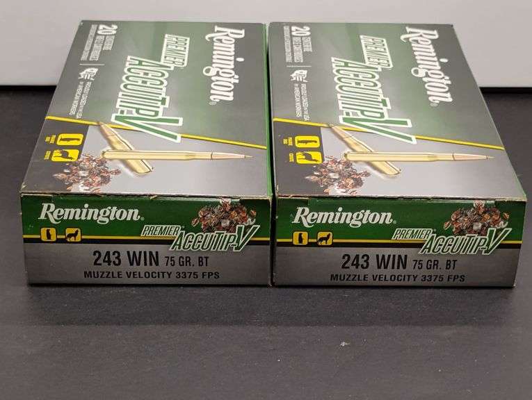 Two 20 Cartridge Boxes Hornady Precision Hunter 243 WIN 90 Grain ELD-X image