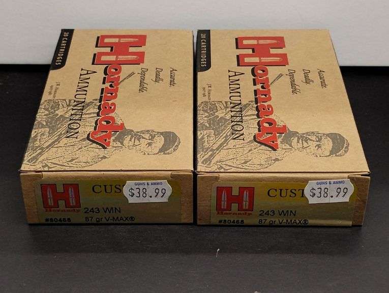 Two 20 Cartridge Boxes Hornady 243 WIN 87 Grain V-MAX image
