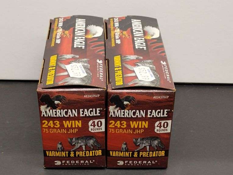 Two 40 Cartridge Boxes Federal American Eagle 243 WIN 75 Grain JHP image