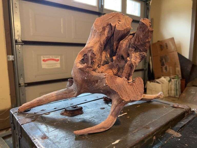 Oddly and uniquely shaped piece of petrified wood…..approx. 18” long x 12” tall image