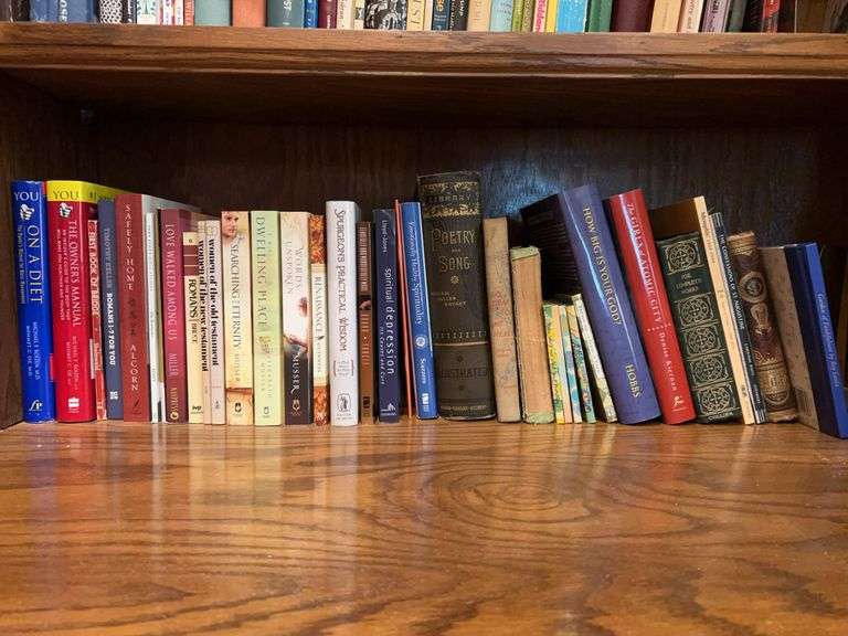 Bottom shelf of books by various authors and various genres image