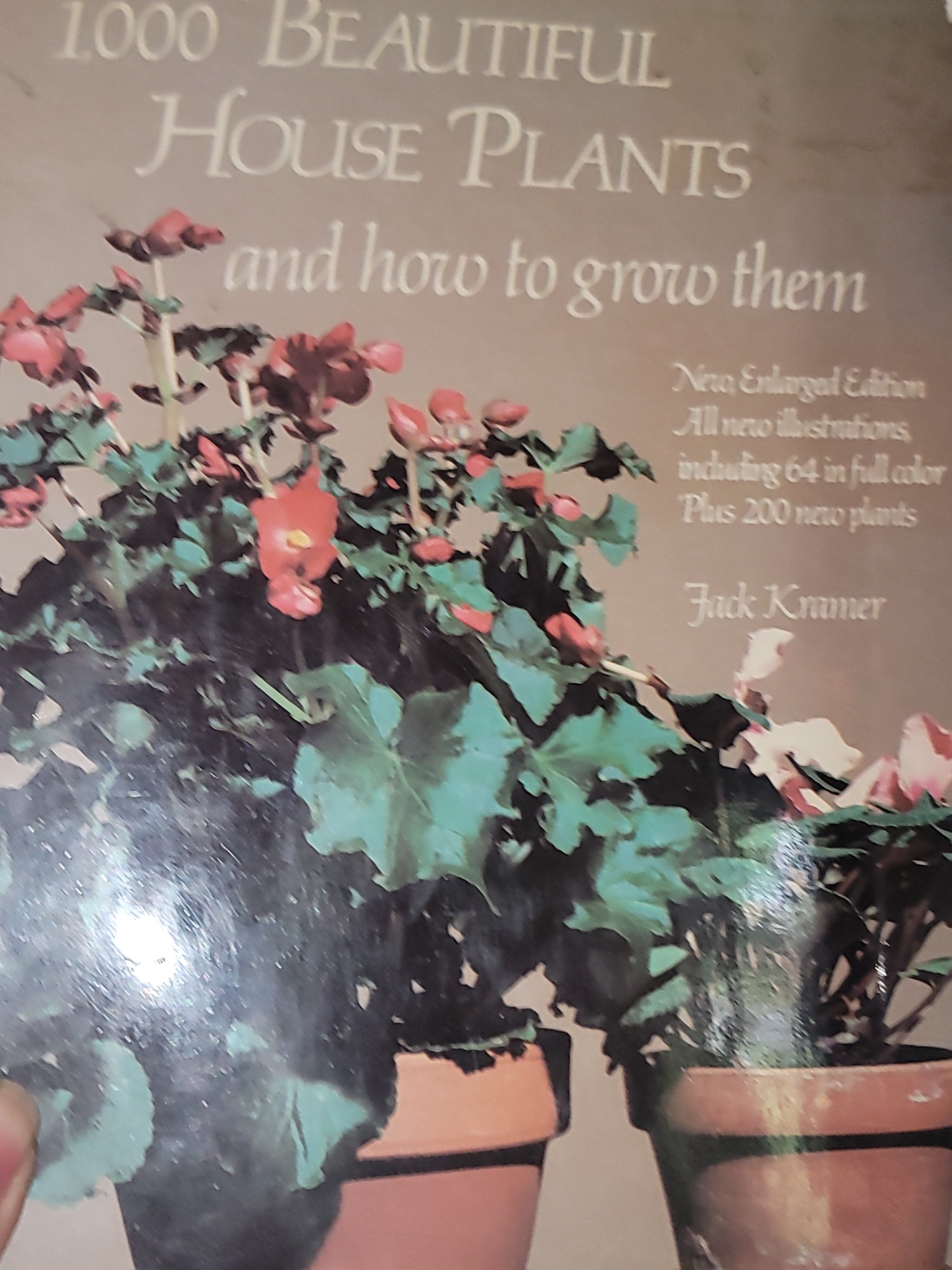 Lot image 4