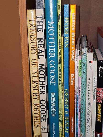 Bookcase and great grouping of children's books. Bookcase is 21.25 X 10.75 x 28.25 in tall. See all photos for titles.