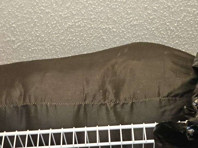 Two sleeping bags. Condition unknown.