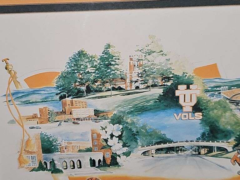 Tub of Vols items and magazines. Framed UT Vols print by Betty Malone artist signed. See all photos.