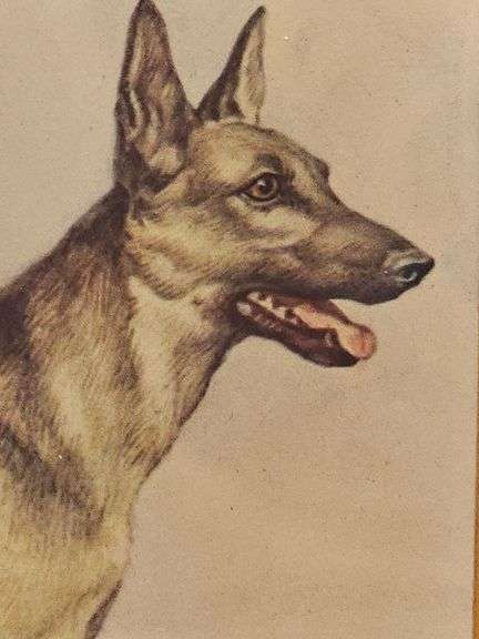 Wonderful watercolor of German Shepherd