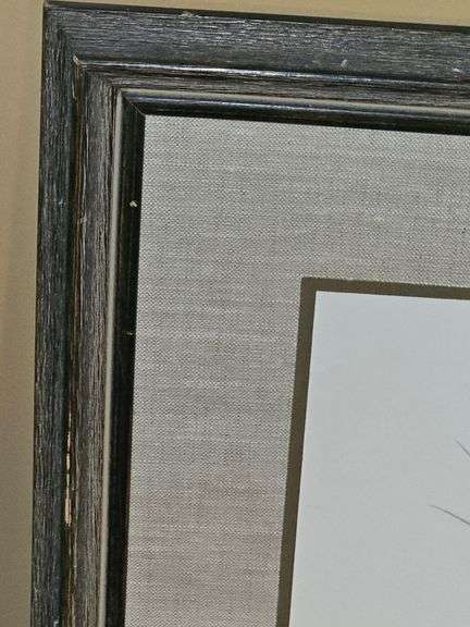 Framed print of Blue Winged Teal Ducks by Charles E. Murphy