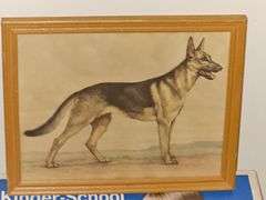 Wonderful watercolor of German Shepherd