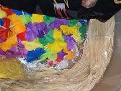 Small container of Hawaiian leis and shirts.