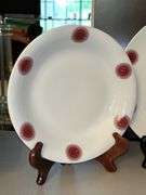 26 pieces of Mitterteich Bavaria Germany Red Medallion China (see descrip)