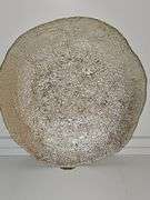 17-in shallow bowl, 8 in tall gold lamp with no shade, 11 in gold planter.