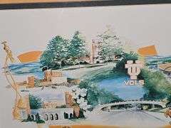 Tub of Vols items and magazines. Framed UT Vols print by Betty Malone artist signed. See all photos.