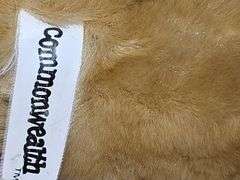 Commonwealth tan teddy bear with bowtie.