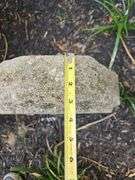 Piece of Architectural Granite from the Old Courthouse in Memphis, TN circa 1910...