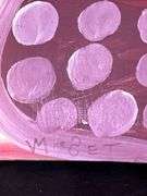 Original signed Mose T red meat watermelon with pink seeds Folk Art with signature soda can tab hanger…..12-1/2 x 6-1/2