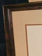 Framed print of BLUE WINGED TEAL - ANAS DISCORS by Charles E. Murphy