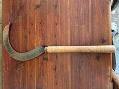 (5) pieces of lawn & garden tools….rake, snow shovel, sickle, 2 shovels…..OTHER CONTENTS NOT INCLUDED
