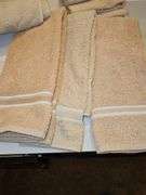 Two bath towels, three hand towels, for washcloth, and one sheet. Size unknown on sheet.