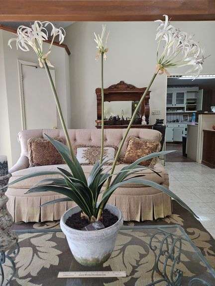 Large artificial 48" tall spider plant in 13x9 clay pot w/artificial dirt... image