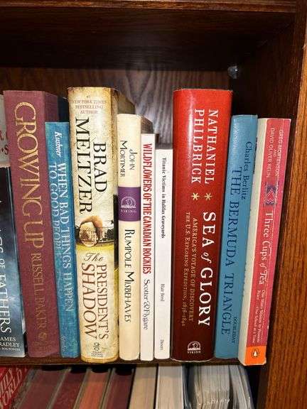 3 shelves of books of various titles and by variety of authors…..both paperback and hardback