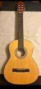 Firebrand Junior Acoustic guitar in case with shoulder carry strap. Received as a gift and never touched so brand new.