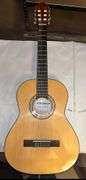Firebrand Junior Acoustic guitar in case with shoulder carry strap. Received as a gift and never touched so brand new.