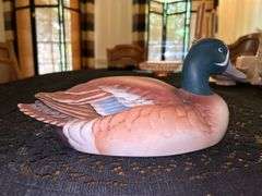 Stunning Blue-winged Teal by Andrea with satin finish….absolutely gorgeous….12” long x 5” tall