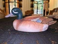 Stunning Blue-winged Teal by Andrea with satin finish….absolutely gorgeous….12” long x 5” tall