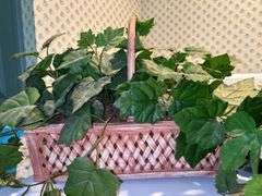 (4) assorted baskets…..2 have artificial greenery/florals
