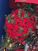(2) large totes of Christmas decor (see all pics)