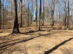 2.8 Acre Lot in Selmer, TN