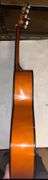 Firebrand Junior Acoustic guitar in case with shoulder carry strap. Received as a gift and never touched so brand new.