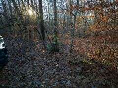 2.8 Acre Lot in Selmer, TN