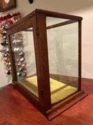 Vintage glass display case with single glass shelf and velvet lined bottom…..16-3/4 x 10-1/2 x 15-1/2 tall
