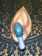 Stunning Blue-winged Teal by Andrea with satin finish….absolutely gorgeous….12” long x 5” tall