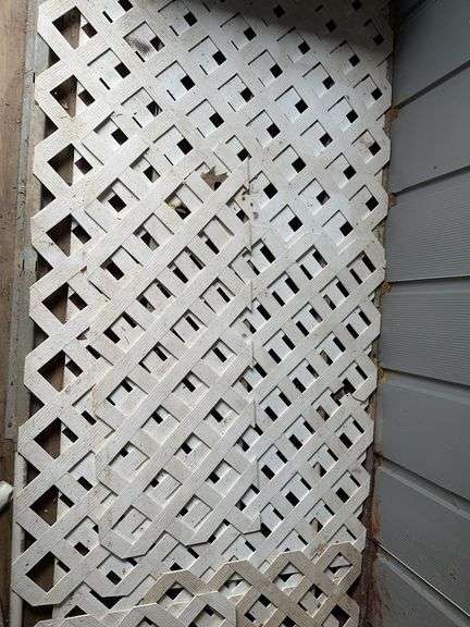 grouping of plastic lattice 