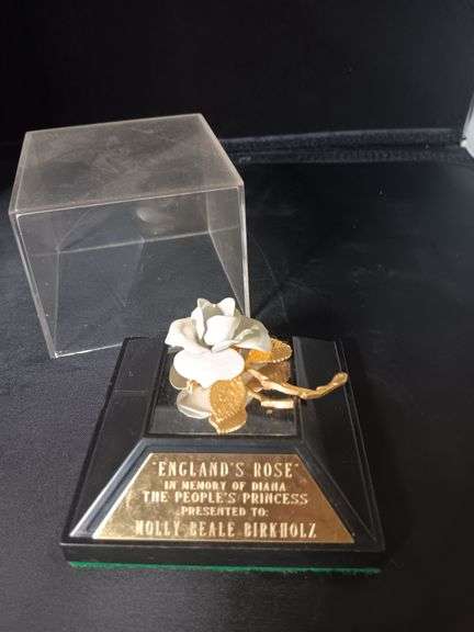 Princess Diana-England-Rose in case image