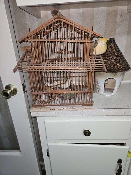 Bird cage & ceramic bird house... image